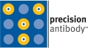 Precision Antibody